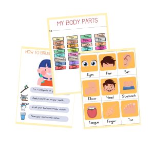 My Body - Busy Book